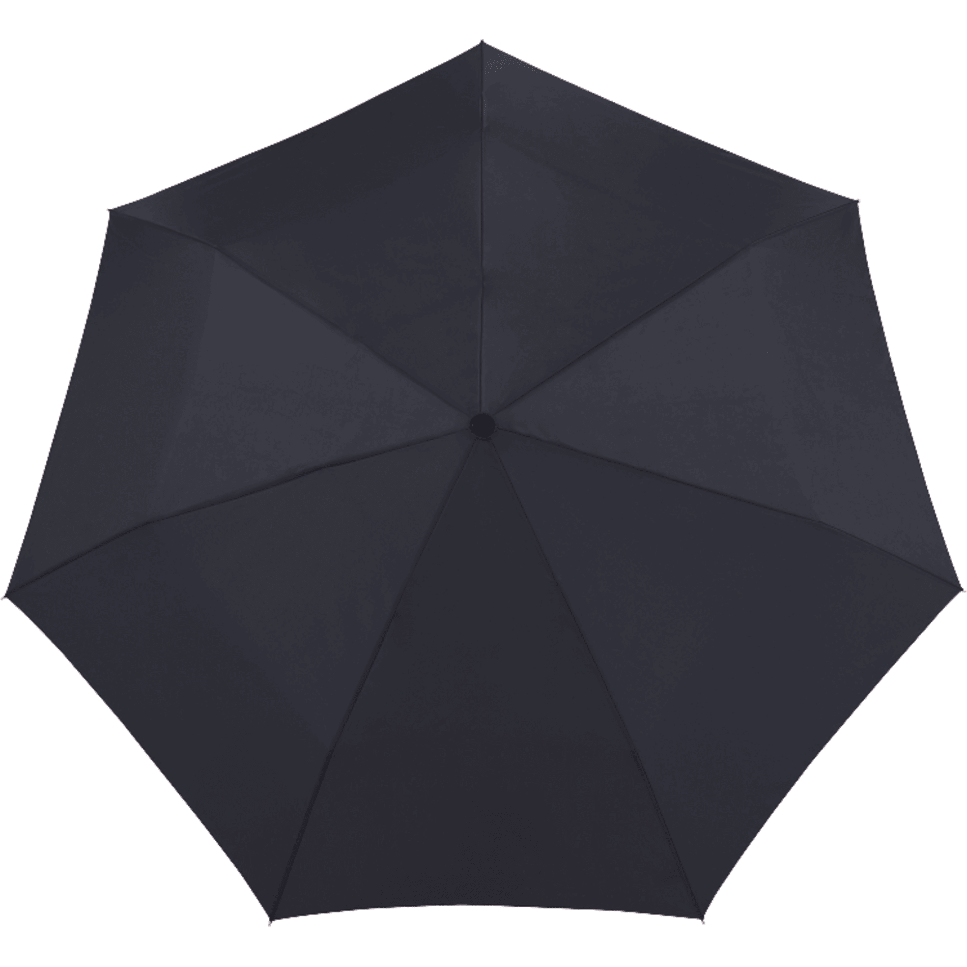 Brellerz Dome Auto Open Umbrella Clear with Black Trim 